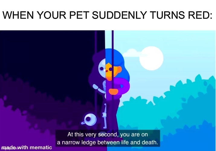 Life and death | WHEN YOUR PET SUDDENLY TURNS RED: | image tagged in life and death | made w/ Imgflip meme maker