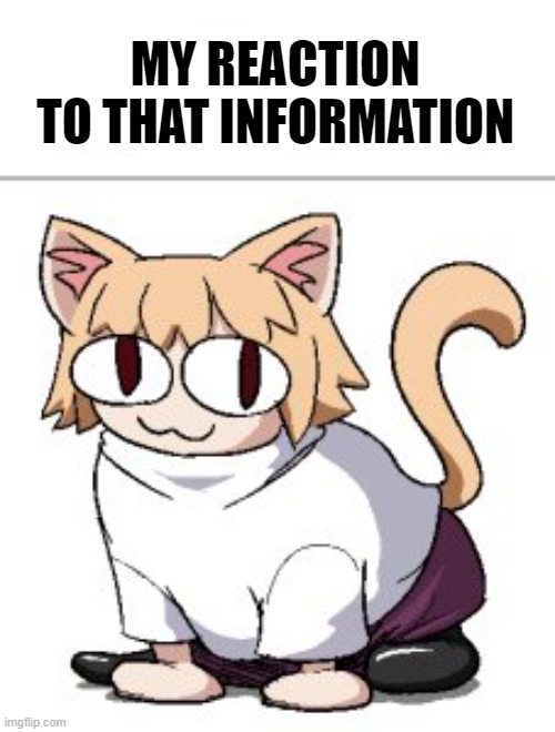 My reaction to that information (Neco Arc) | MY REACTION TO THAT INFORMATION | image tagged in neco arc | made w/ Imgflip meme maker