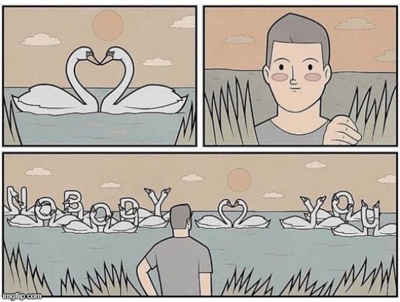 image tagged in comics/cartoons,swans | made w/ Imgflip meme maker