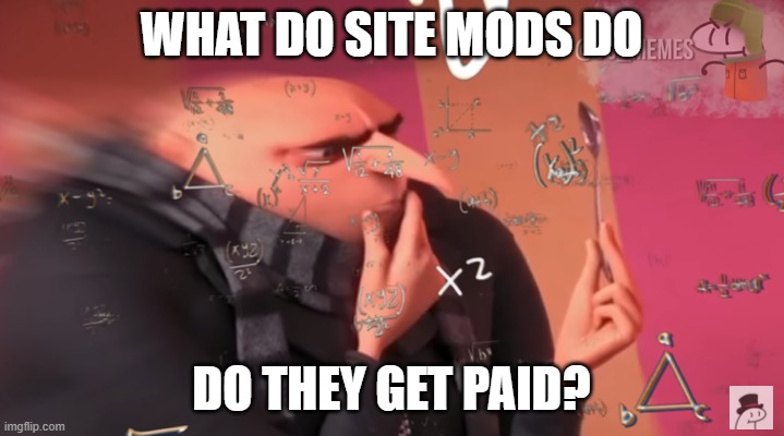 gru calculating | WHAT DO SITE MODS DO; DO THEY GET PAID? | image tagged in gru calculating | made w/ Imgflip meme maker
