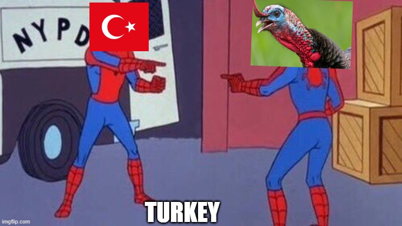 turkey or turkey | TURKEY | image tagged in spiderman pointing at spiderman,turkey | made w/ Imgflip meme maker