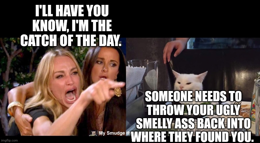 I'LL HAVE YOU KNOW, I'M THE CATCH OF THE DAY. SOMEONE NEEDS TO THROW YOUR UGLY SMELLY ASS BACK INTO WHERE THEY FOUND YOU. | image tagged in smudge the cat | made w/ Imgflip meme maker