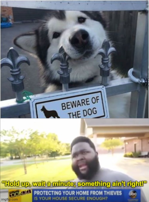 beware of the dog? but that dog looks cute | image tagged in hold up wait a minute something aint right,dogs | made w/ Imgflip meme maker