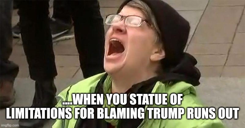 Just about done.... | ....WHEN YOU STATUE OF LIMITATIONS FOR BLAMING TRUMP RUNS OUT | image tagged in crying liberal | made w/ Imgflip meme maker