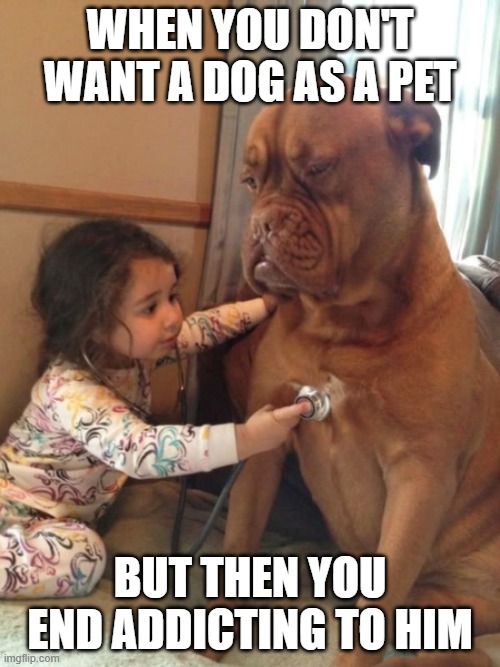 WHEN YOU DON'T WANT A DOG AS A PET; BUT THEN YOU END ADDICTING TO HIM | image tagged in dogs | made w/ Imgflip meme maker
