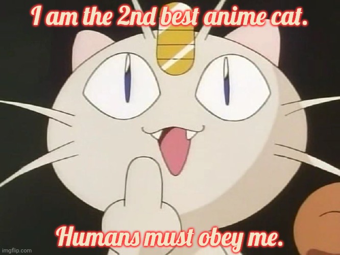 Meowth Middle Claw | I am the 2nd best anime cat. Humans must obey me. | image tagged in meowth middle claw | made w/ Imgflip meme maker