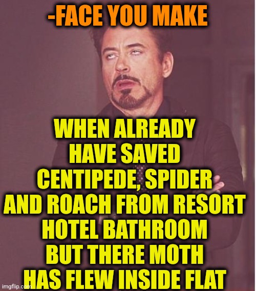 -How much is my helping heart? | WHEN ALREADY HAVE SAVED CENTIPEDE, SPIDER AND ROACH FROM RESORT HOTEL BATHROOM BUT THERE MOTH HAS FLEW INSIDE FLAT; -FACE YOU MAKE | image tagged in memes,face you make robert downey jr,insects,marked safe from,so you have chosen death,help i accidentally | made w/ Imgflip meme maker