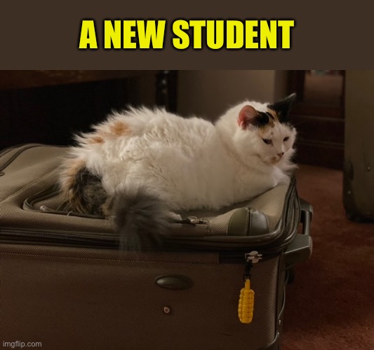 A NEW STUDENT | made w/ Imgflip meme maker