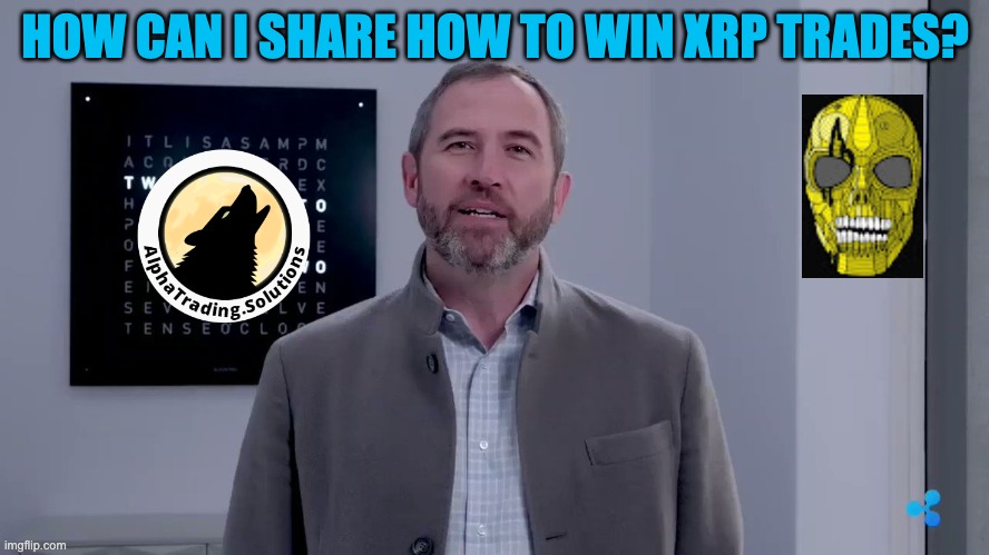 brad garlinghouse how to win xrp trades | HOW CAN I SHARE HOW TO WIN XRP TRADES? | image tagged in brad garlinghouse | made w/ Imgflip meme maker