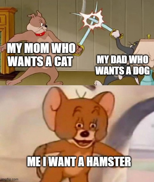 family pets memes | MY MOM WHO WANTS A CAT; MY DAD WHO WANTS A DOG; ME I WANT A HAMSTER | image tagged in tom and jerry swordfight,tom and jerry,pets,memes,warner bros | made w/ Imgflip meme maker