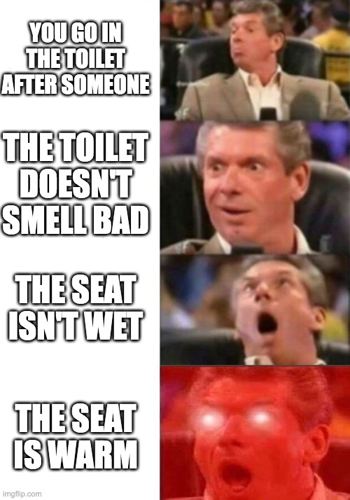Mr. McMahon reaction | YOU GO IN THE TOILET AFTER SOMEONE; THE TOILET DOESN'T SMELL BAD; THE SEAT ISN'T WET; THE SEAT IS WARM | image tagged in mr mcmahon reaction | made w/ Imgflip meme maker
