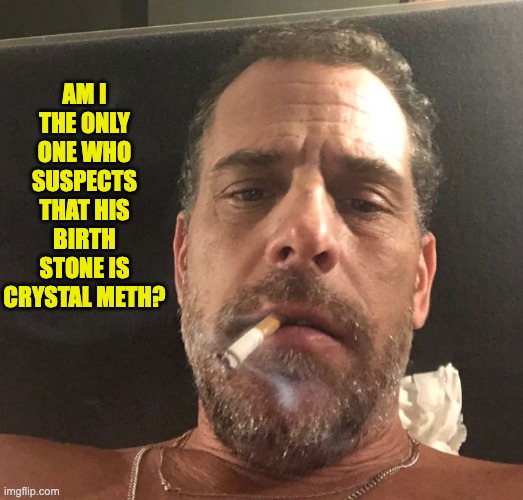 Hunter | AM I THE ONLY ONE WHO SUSPECTS THAT HIS BIRTH STONE IS CRYSTAL METH? | image tagged in hunter biden | made w/ Imgflip meme maker