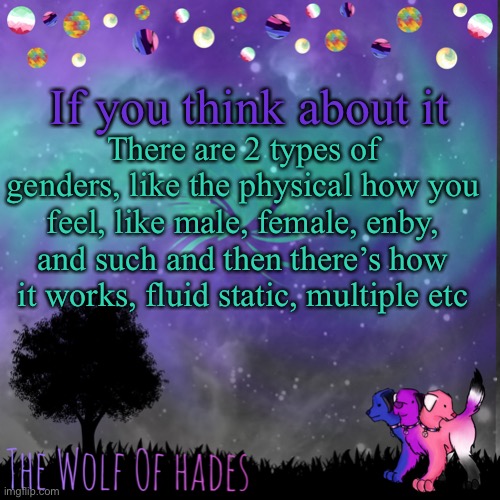TheWolfOfHades announces crap V.694201723696969 | If you think about it; There are 2 types of genders, like the physical how you feel, like male, female, enby, and such and then there’s how it works, fluid static, multiple etc | image tagged in thewolfofhades announces crap v 694201723696969 | made w/ Imgflip meme maker
