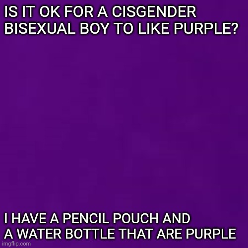 PupleLove | IS IT OK FOR A CISGENDER BISEXUAL BOY TO LIKE PURPLE? I HAVE A PENCIL POUCH AND A WATER BOTTLE THAT ARE PURPLE | image tagged in puplelove | made w/ Imgflip meme maker
