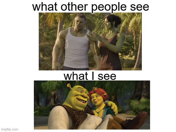lmao, you can't blame me | what other people see; what I see | image tagged in shrek,hulk,she hulk | made w/ Imgflip meme maker