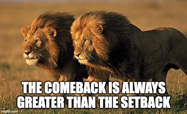 Comeback is better than the setback | THE COMEBACK IS ALWAYS GREATER THAN THE SETBACK | image tagged in lions | made w/ Imgflip meme maker