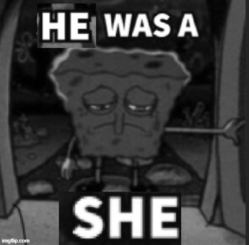 He was a She | image tagged in he was a she | made w/ Imgflip meme maker