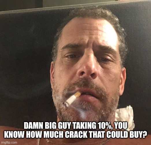 Hunter Biden | DAMN BIG GUY TAKING 10%, YOU KNOW HOW MUCH CRACK THAT COULD BUY? | image tagged in hunter biden | made w/ Imgflip meme maker