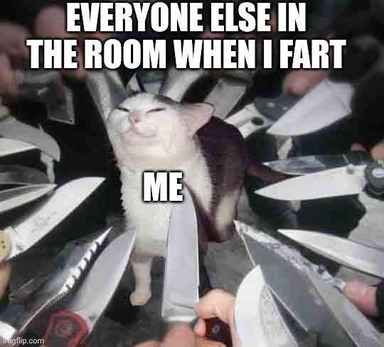 I regret nothing | EVERYONE ELSE IN THE ROOM WHEN I FART; ME | image tagged in knife cat,fart | made w/ Imgflip meme maker