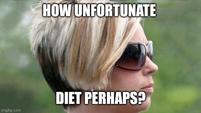 Karen | HOW UNFORTUNATE; DIET PERHAPS? | image tagged in karen | made w/ Imgflip meme maker