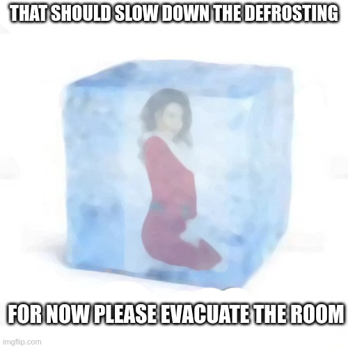slowing it down | THAT SHOULD SLOW DOWN THE DEFROSTING; FOR NOW PLEASE EVACUATE THE ROOM | made w/ Imgflip meme maker