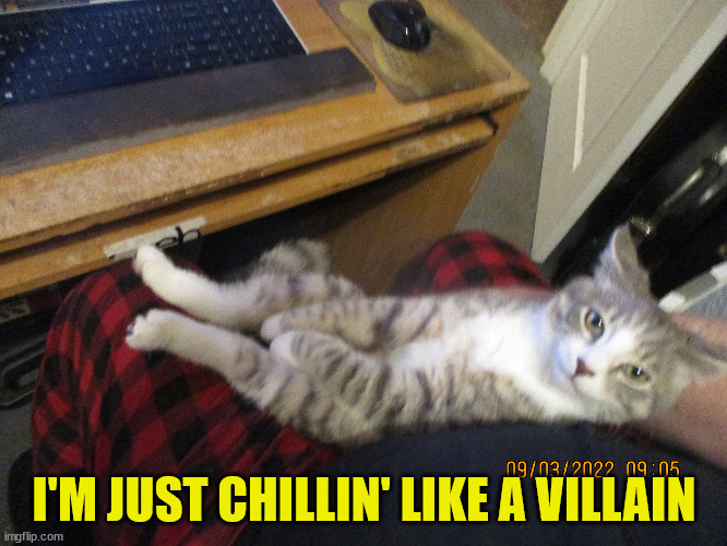 I'M JUST CHILLIN' LIKE A VILLAIN | image tagged in zippy chillin' | made w/ Imgflip meme maker