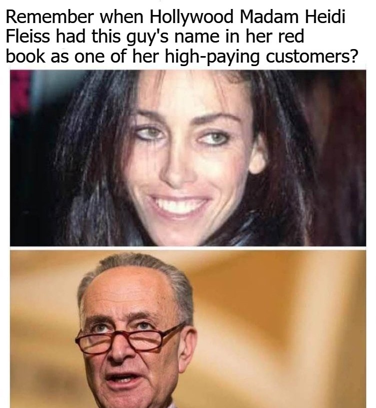 Remember Heidi Fleiss & Chuckie Schumer? | image tagged in heidi fleiss,heidi from hell,chuck schumer,old pervert,perverts,pedophiles | made w/ Imgflip meme maker