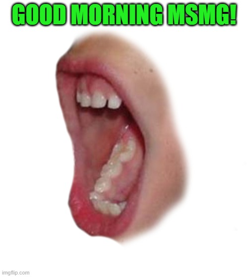 good morning | GOOD MORNING MSMG! | image tagged in morning,big mouth | made w/ Imgflip meme maker