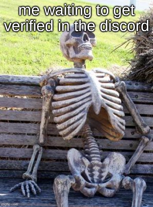 yes, seriously. it's been at least 11 hours now. | me waiting to get verified in the discord | image tagged in memes,waiting skeleton | made w/ Imgflip meme maker