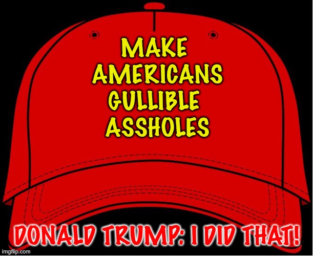 Red Hat | MAKE 
AMERICANS
GULLIBLE 
ASSHOLES DONALD TRUMP: I DID THAT! | image tagged in red hat | made w/ Imgflip meme maker