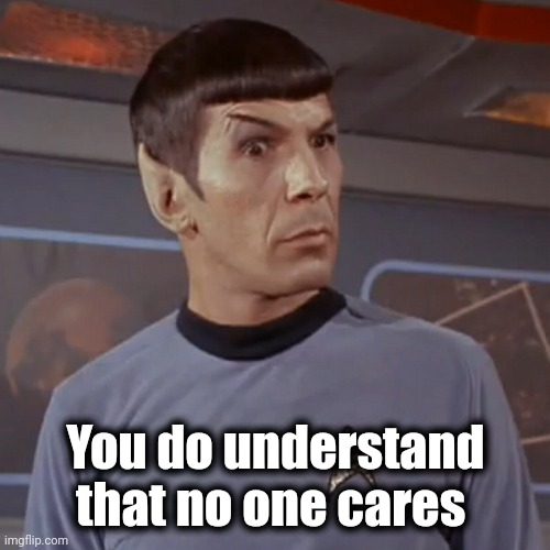 Puzzled Spock | You do understand that no one cares | image tagged in puzzled spock | made w/ Imgflip meme maker