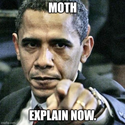 Pissed Off Obama Meme | MOTH EXPLAIN NOW. | image tagged in memes,pissed off obama | made w/ Imgflip meme maker