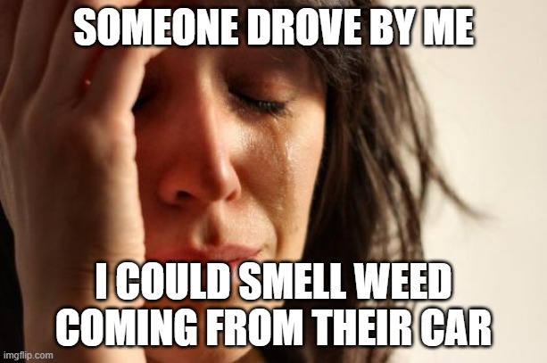 First World Problems | SOMEONE DROVE BY ME; I COULD SMELL WEED COMING FROM THEIR CAR | image tagged in memes,first world problems,driving,weed,cars,sad | made w/ Imgflip meme maker