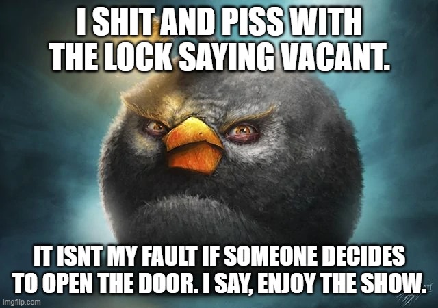 I SHIT AND PISS WITH THE LOCK SAYING VACANT. IT ISNT MY FAULT IF SOMEONE DECIDES TO OPEN THE DOOR. I SAY, ENJOY THE SHOW. | image tagged in funny,memes,realistic red angry birds,gifs | made w/ Imgflip meme maker