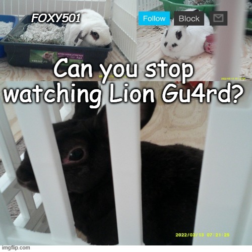 Foxy501 announcement template | Can you stop watching Lion Gu4rd? | image tagged in foxy501 announcement template | made w/ Imgflip meme maker