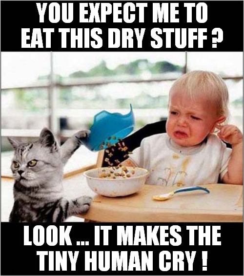 Cat Unimpressed With Cat Food | YOU EXPECT ME TO EAT THIS DRY STUFF ? LOOK ... IT MAKES THE
TINY HUMAN CRY ! | image tagged in cats,unimpressed,cat food,crying baby | made w/ Imgflip meme maker