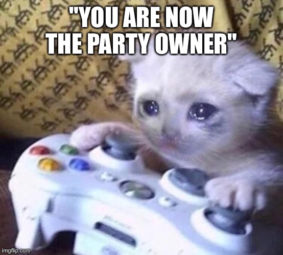 Poor cat :( | "YOU ARE NOW THE PARTY OWNER" | image tagged in sad gamer cat | made w/ Imgflip meme maker