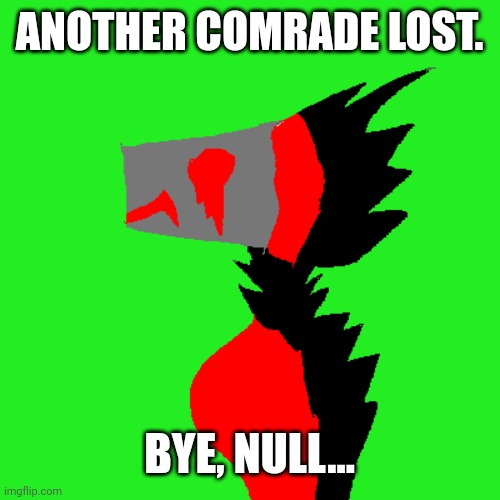 im going to miss them. | ANOTHER COMRADE LOST. BYE, NULL... | made w/ Imgflip meme maker