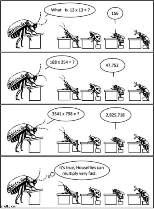 Insects At School ! | image tagged in insects,school,multiplying | made w/ Imgflip meme maker