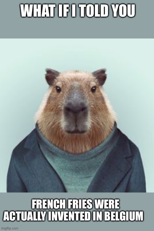 What If I Told You Capybara | WHAT IF I TOLD YOU; FRENCH FRIES WERE ACTUALLY INVENTED IN BELGIUM | image tagged in what if i told you capybara | made w/ Imgflip meme maker