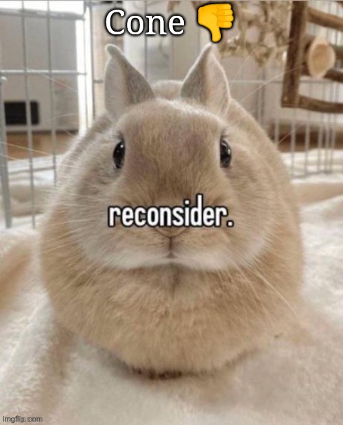 reconsider | Cone 👎 | image tagged in reconsider | made w/ Imgflip meme maker