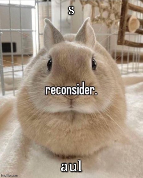 reconsider | s; aul | image tagged in reconsider | made w/ Imgflip meme maker