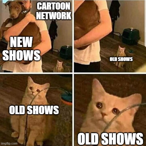 Cartoon Network needs to re-air shows like Courage the Cowardly Dog and Codename: Kids Next Door | CARTOON NETWORK; NEW SHOWS; OLD SHOWS; OLD SHOWS; OLD SHOWS | image tagged in sad cat holding dog,cartoon network | made w/ Imgflip meme maker