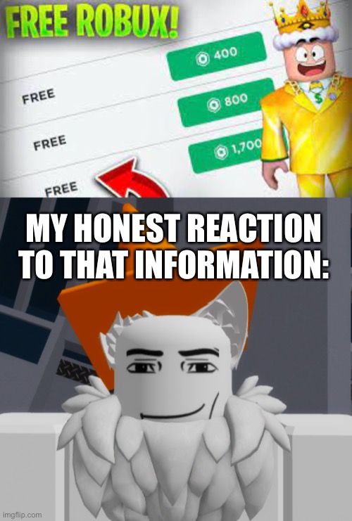 why do people make these things | MY HONEST REACTION TO THAT INFORMATION: | image tagged in free robux,cone | made w/ Imgflip meme maker