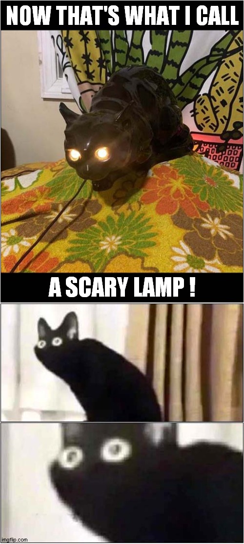 Look At Those Eyes ! | NOW THAT'S WHAT I CALL; A SCARY LAMP ! | image tagged in cats,scary,lamp,oh no black cat | made w/ Imgflip meme maker