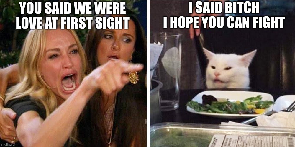 Smudge the cat | I SAID BITCH I HOPE YOU CAN FIGHT; YOU SAID WE WERE LOVE AT FIRST SIGHT | image tagged in smudge the cat | made w/ Imgflip meme maker
