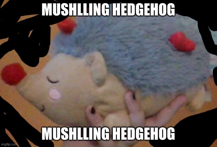 i got this a while ago, just found it again :oo | MUSHLLING HEDGEHOG; MUSHLLING HEDGEHOG | made w/ Imgflip meme maker