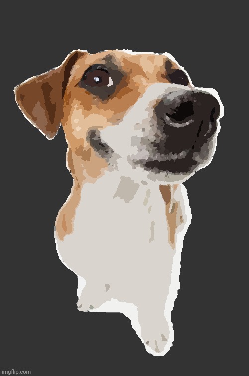 jack russell | image tagged in jack russell | made w/ Imgflip meme maker