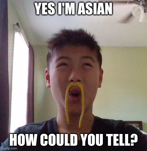 How could you tell I was Asian???///???//?/ | YES I'M ASIAN; HOW COULD YOU TELL? | image tagged in funny,asian,funny asian face | made w/ Imgflip meme maker