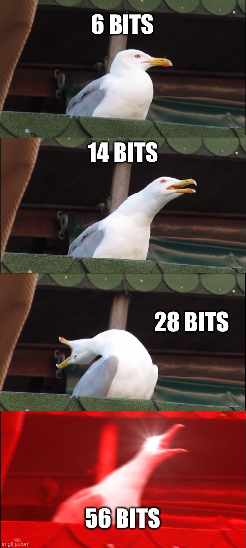 computer games be like: | 6 BITS; 14 BITS; 28 BITS; 56 BITS | image tagged in memes,inhaling seagull | made w/ Imgflip meme maker